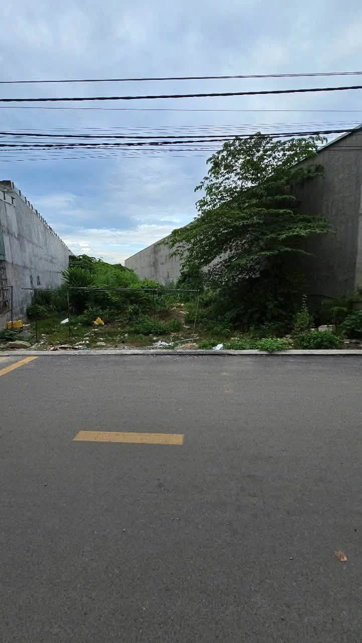 Bán lô đất 11×69 (759m²) Bình Cơ Bình Tân, 5 tỷ - Ảnh 1