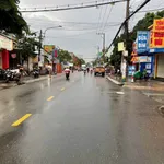 Bán đất mặt tiền Nguyễn Tri Phương, Bình Chánh, 1.518m² - Ảnh thu nhỏ 4