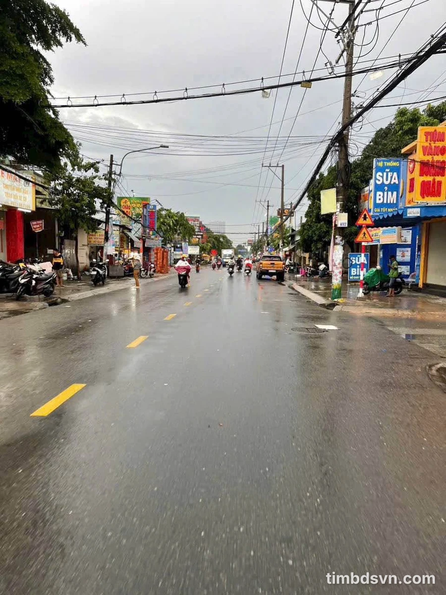 Bán đất mặt tiền Nguyễn Tri Phương, Bình Chánh, 1.518m² - Ảnh thu nhỏ 4