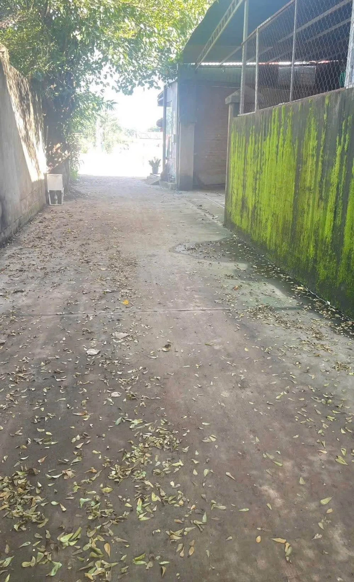 Cho thuê nhà xưởng 350m2 Võ Nguyên Giáp, Đồng Nai - Ảnh thu nhỏ 4