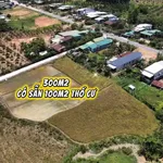 Bán đất 300m2 ngang 6m, 100m2 thổ cư, giá 239 triệu tại Đạ Tẻh, Lâm Đồng - Ảnh thu nhỏ 1