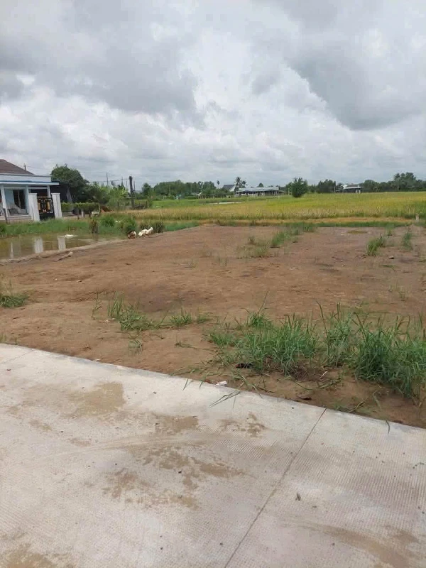 Bán nền đất 100m² tại Mỹ Yên, Tây Ninh