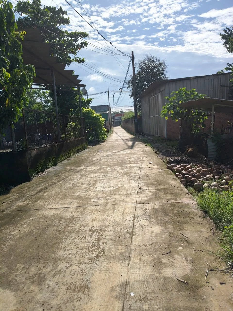 Bán đất Tiến Hưng 5000m² giá 1 tỷ 3 - Ảnh 1