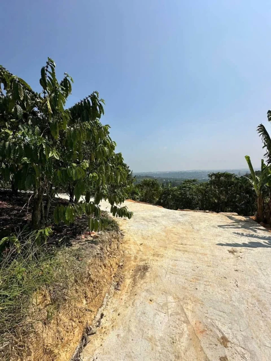 Bán đất nền 3533m² Lâm Đồng, 2,6 tỷ, view đẹp - Ảnh thu nhỏ 2