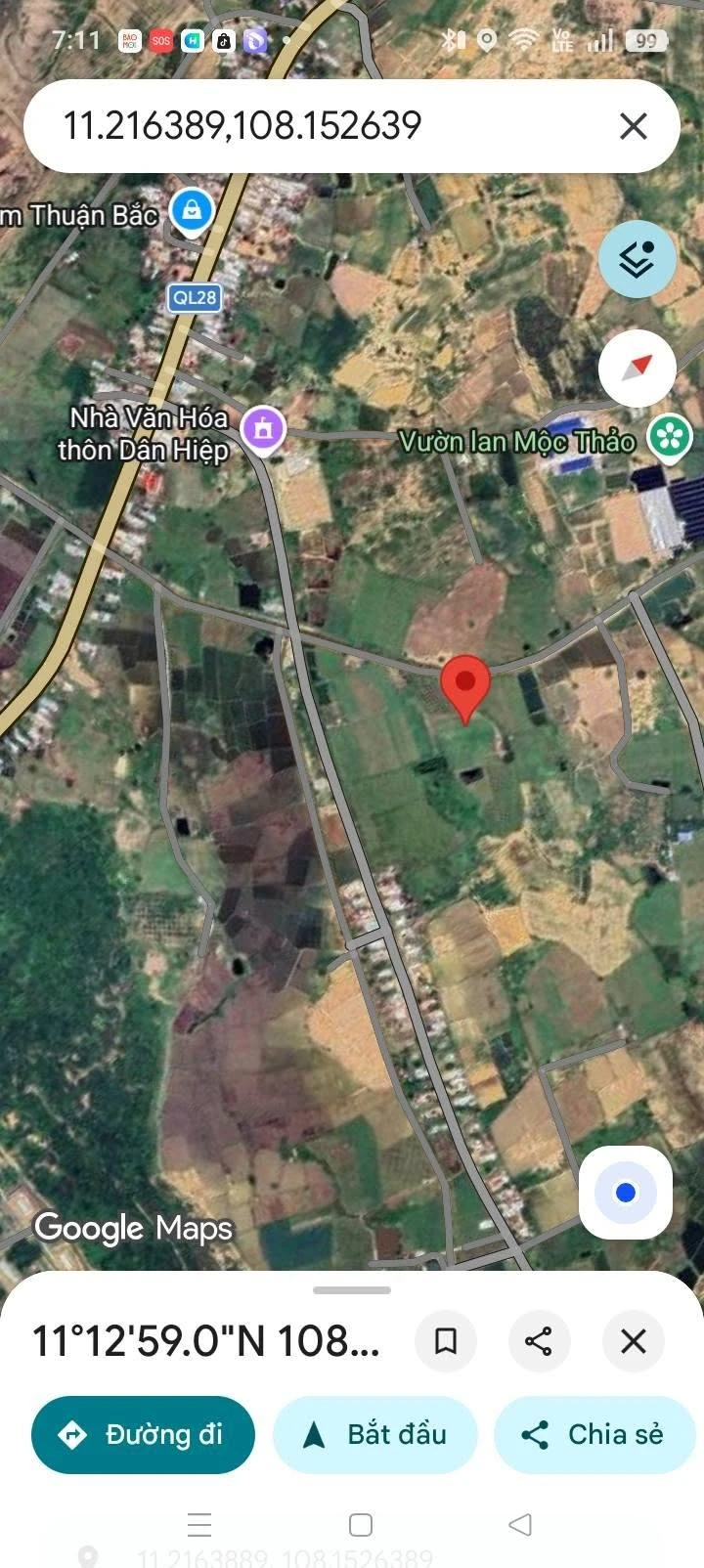 Bán lô đất CLN 6000m² Hàm Thuận Bắc, giá 1.6 tỷ - Ảnh 1