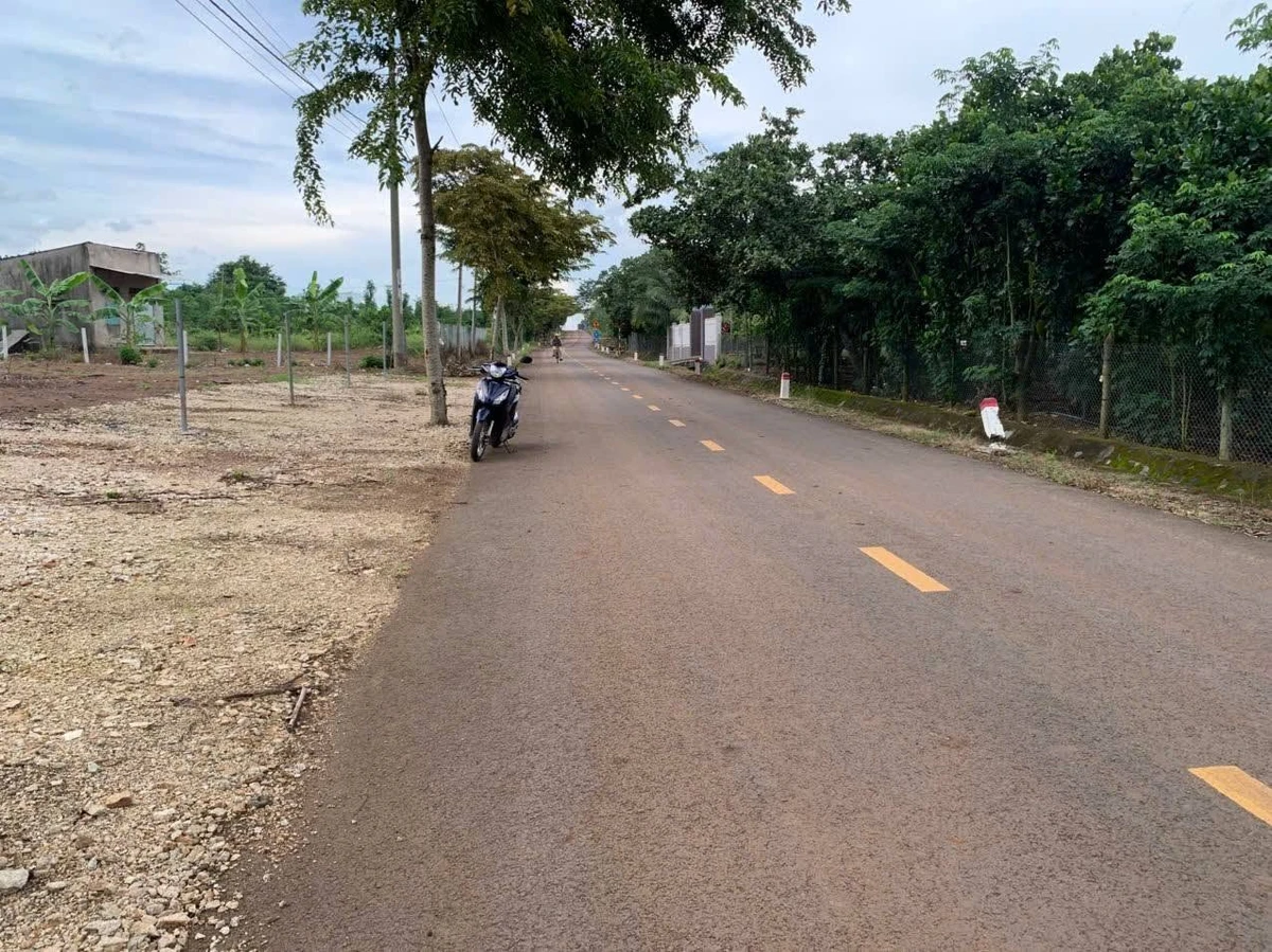 Bán đất vườn 2457m2 có 260m2 thổ cư mặt tiền đường nhựa ấp 9 Xuân Tây - Ảnh thu nhỏ 3