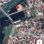 Bán đất sổ đỏ Phú Hòa, Phú Yên 151,8m² giá 700tr - Ảnh thu nhỏ 2