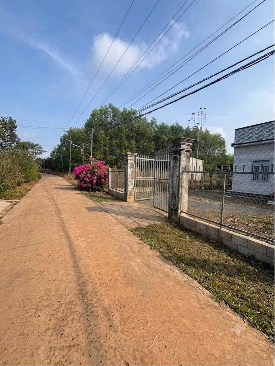 Bán nhà 334m² (200m² thổ cư) Xuân Thành, Bình Tân 800 triệu - Ảnh thu nhỏ 5