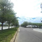 Bán đất mặt tiền Quốc Lộ 19, 330m² ngang 10m, 5 tỷ - Ảnh thu nhỏ 5