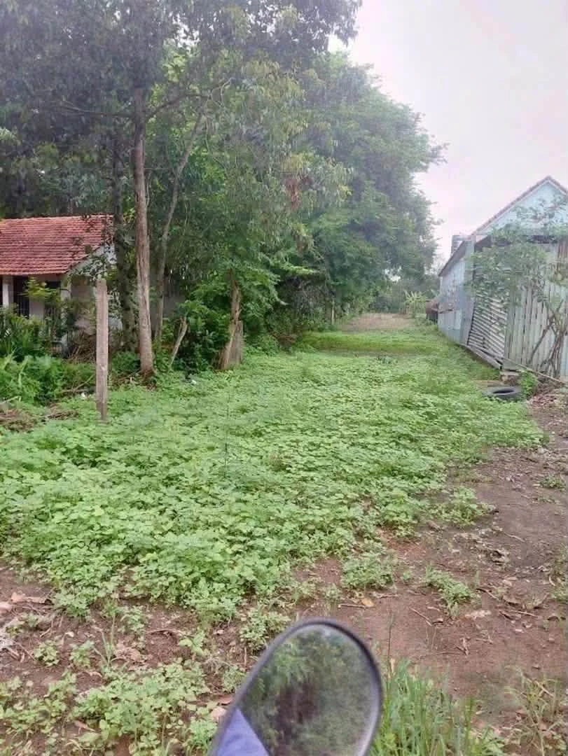 Bán lô đất dài 145m thổ cư 100m2 giá 1,95 tỷ tại An Điền, Phường Long Nguyên - Ảnh thu nhỏ 3