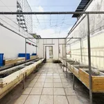 Bán nhà hẻm 60m² 2 phòng ngủ Phú Nhuận - Ảnh thu nhỏ 5