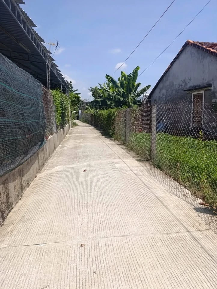 Bán lô đôi đất Nghĩa Dõng 248.5m² giá 1 tỷ 380 - Ảnh 1