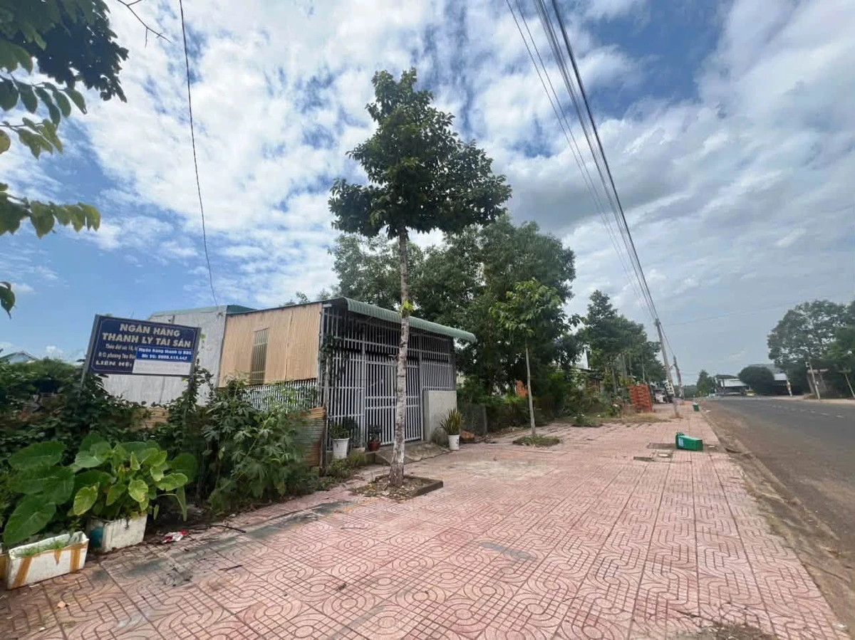 Bán đất mặt tiền Lê Lợi, Đồng Nai, 180m2, 3.5 tỷ - Ảnh thu nhỏ 5
