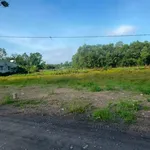 Bán đất Thanh Hoà, Thạnh Diền, Tây Ninh 5x26 - 50tc - Ảnh thu nhỏ 2