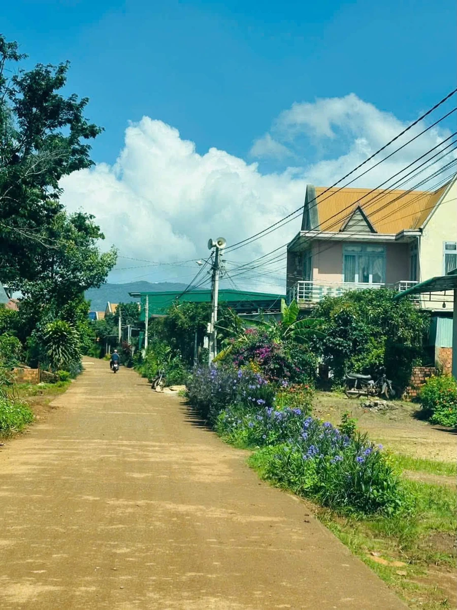 Bán đất 300m² tại Đơn Dương, Lâm Đồng, chỉ 799 triệu - Ảnh thu nhỏ 4
