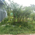 Bán lô đất nền 140m² Trà Giang Ninh Thuận giá 320 triệu - Ảnh thu nhỏ 1