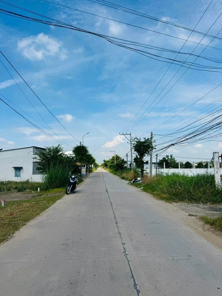 Bán đất thổ cư SHR 225m2 Trần Văn Nghĩa Tây Ninh - Ảnh thu nhỏ 3