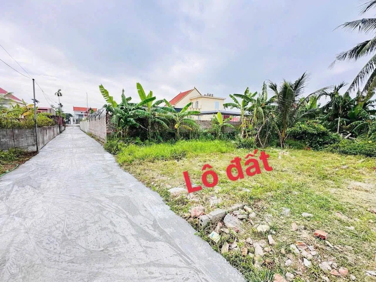 Bán đất 41m2 mặt tiền 4,1m Hải Phòng giảm giá - Ảnh thu nhỏ 3