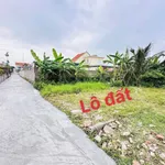 Bán đất 41m2 mặt tiền 4,1m Hải Phòng giảm giá - Ảnh thu nhỏ 3