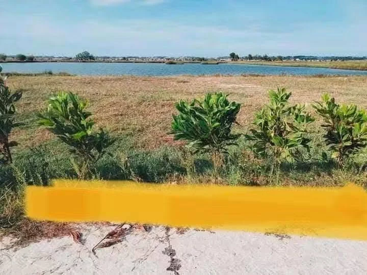 Bán đất view sông Tam Giang 200m2 tại Quảng Điền, Huế - Ảnh 1
