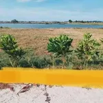 Bán đất view sông Tam Giang 200m2 tại Quảng Điền, Huế - Ảnh thu nhỏ 1