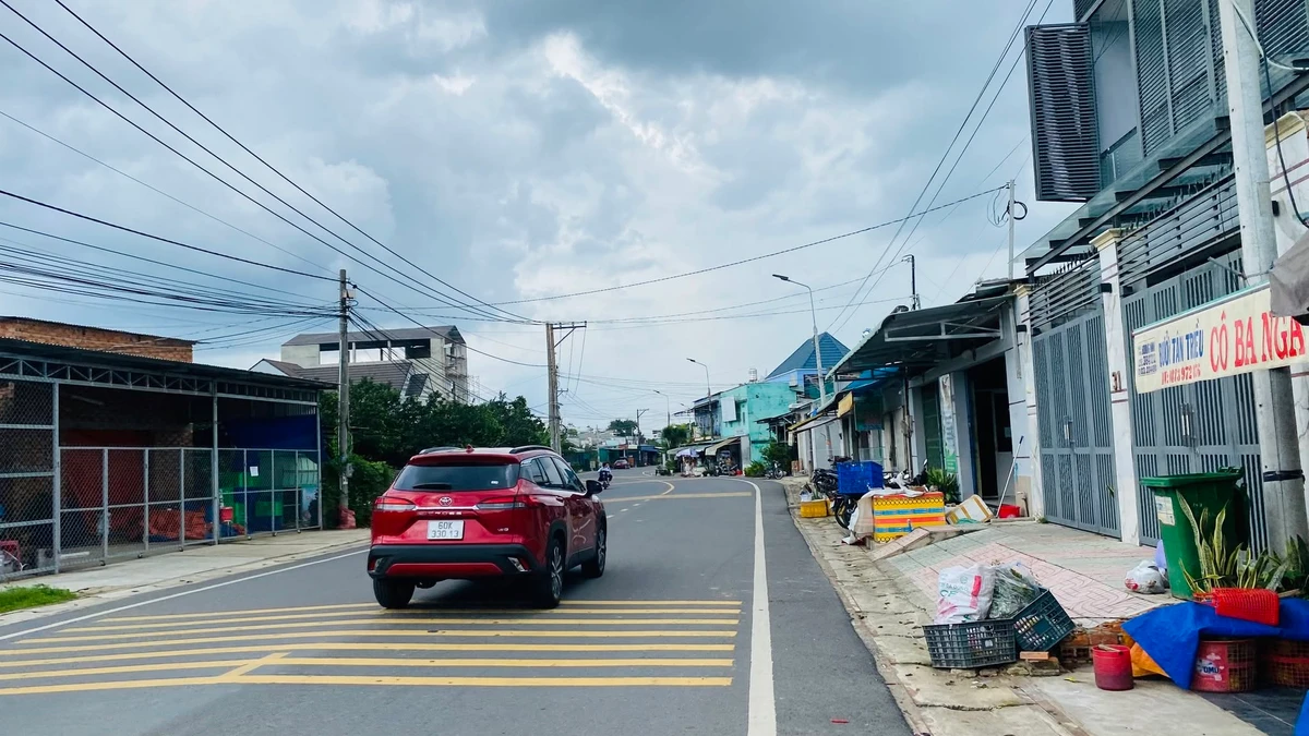 Bán đất 160m2 gần Ngã Tư Tân Triều 1 tỷ 3 - Ảnh thu nhỏ 3