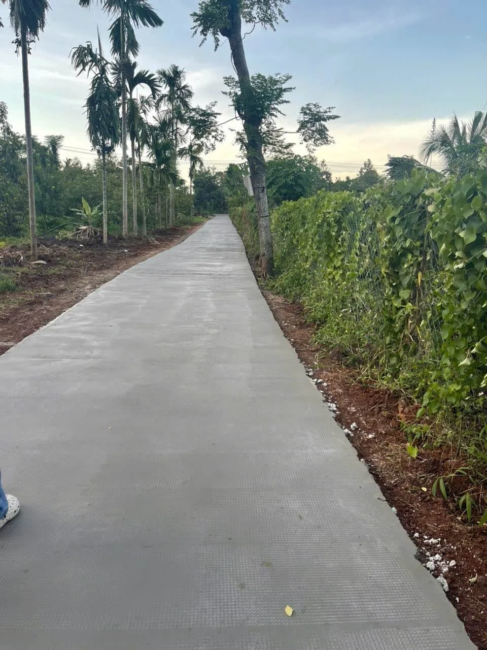 Bán lô đất full thổ cư 145m2 gần Tránh Tây, Bình Tân 460 triệu - Ảnh 1