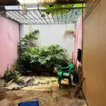 Bán nhà mặt tiền đường Trịnh Tố Tâm, 216m2, nở hậu, Buôn Ma Thuột, giá 4,8 tỷ - Ảnh thu nhỏ 2