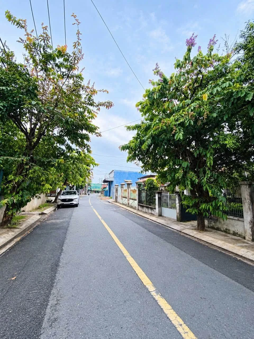 Bán đất Bà Điểm Hóc Môn 160m² SHR 4.9 tỷ gần Phan Văn Hớn - Ảnh 1