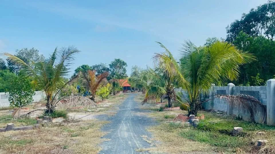 Bán đất nhà vườn 1861m2 mặt tiền đường nhựa, Xã Phước Hải (Long Đất cũ), giá 5,8 tỷ - Ảnh 1