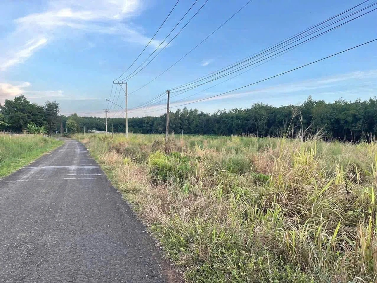 Bán đất nở hậu 47x100m gần UBND Tân Hưng, Thủ Đức - Ảnh thu nhỏ 2