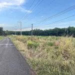 Bán đất nở hậu 47x100m gần UBND Tân Hưng, Thủ Đức - Ảnh thu nhỏ 2
