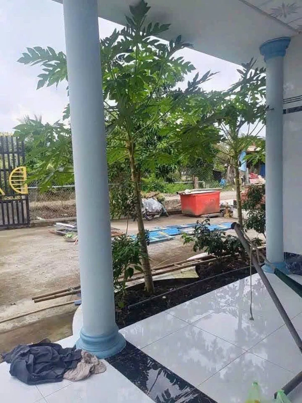 Bán nhà đất thổ cư 392m2 mặt tiền xe tải, view kênh tại Mỹ An, Thủ Thừa giá 1,3 tỷ