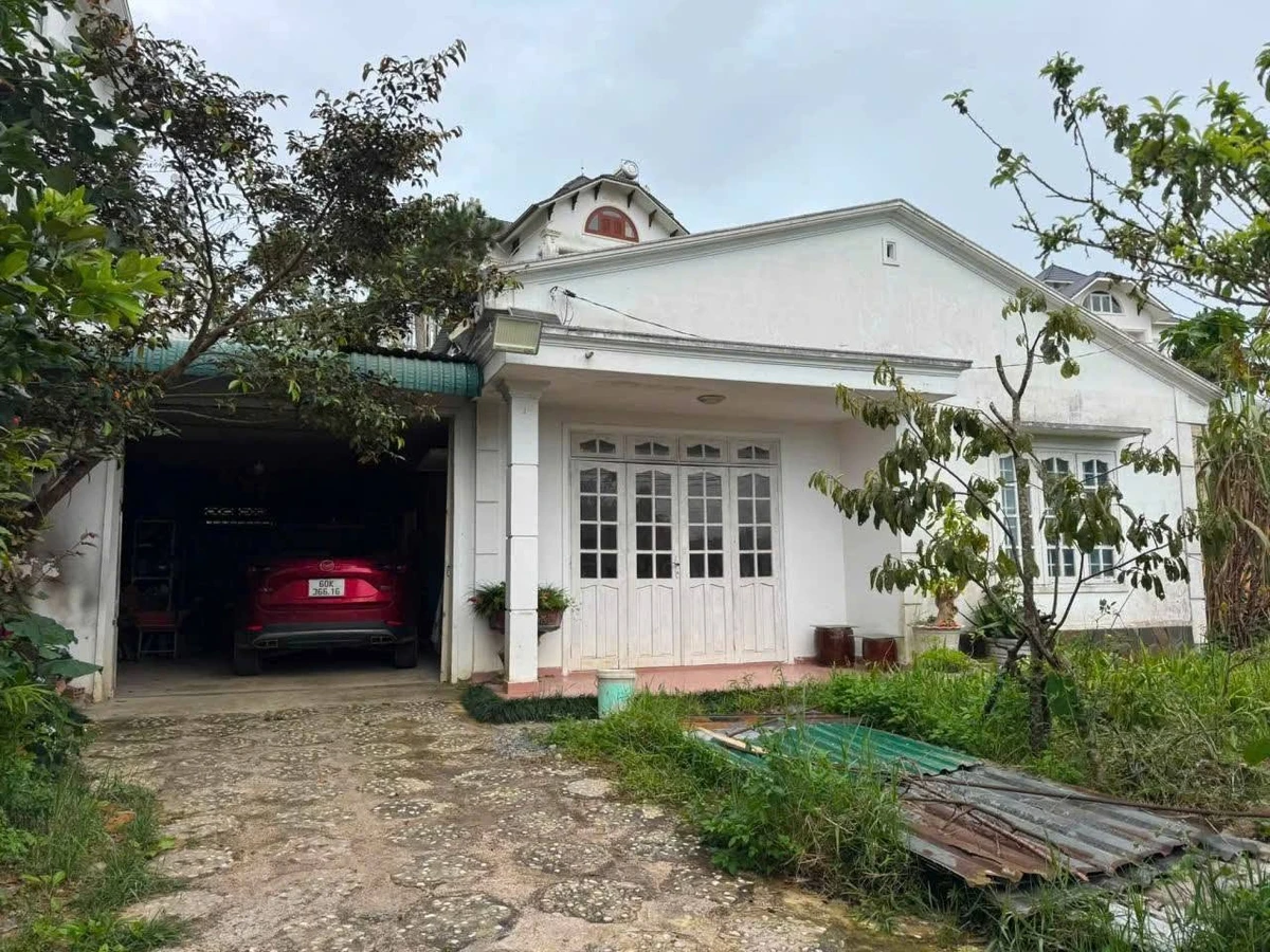 Bán đất khu biệt thự An Sơn Đà Lạt 465m² mặt tiền 15m - Ảnh 1