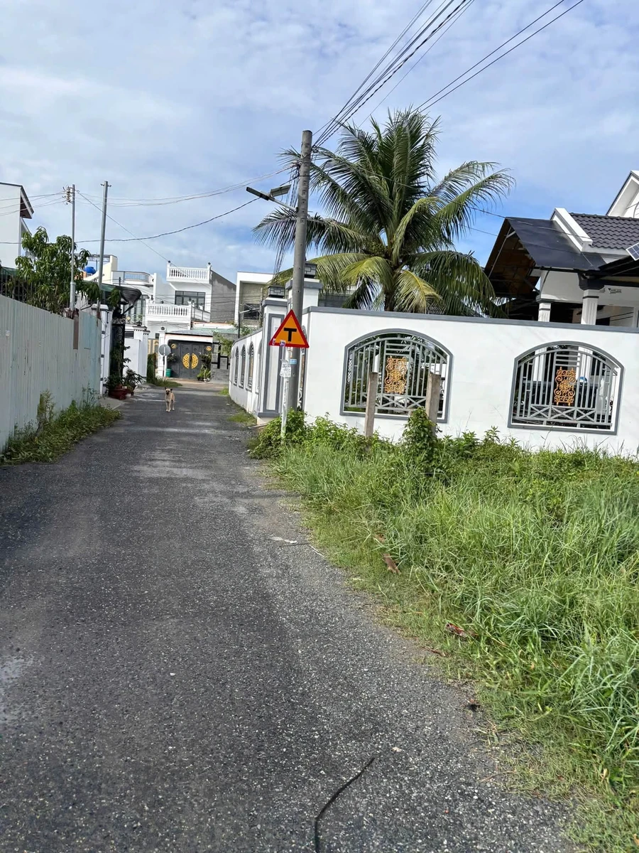 Bán đất lúa 812m2 Tây Ninh giá 2 tỷ 100 triệu - Ảnh thu nhỏ 2