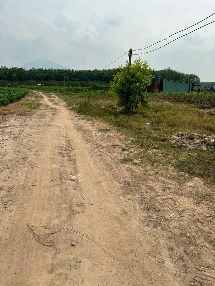 Bán đất Suối Đá Hóc Môn 2060m² giá 1 tỷ 3 - Ảnh thu nhỏ 2