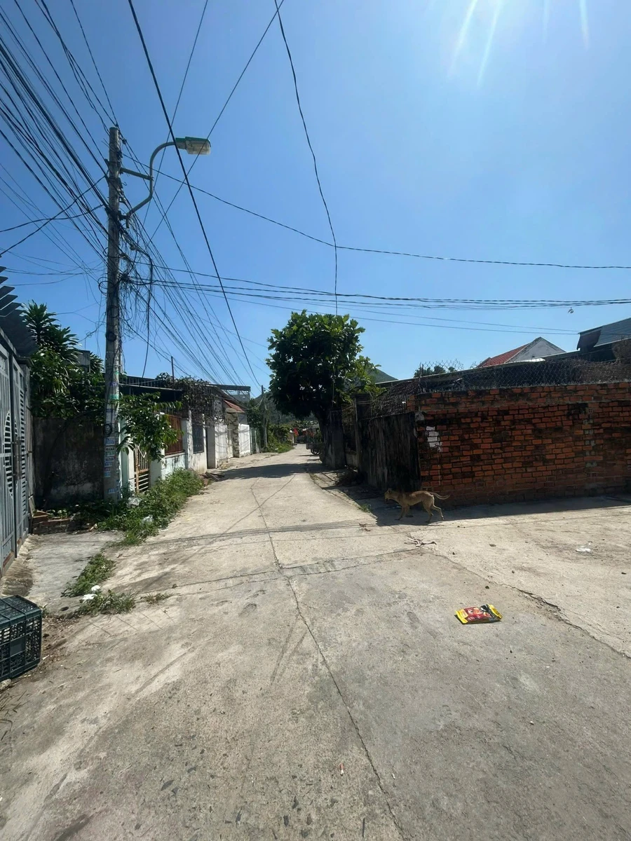Bán đất nền hẻm Trần Đăng Ninh Nam Nha Trang 119.9m² - Ảnh thu nhỏ 5
