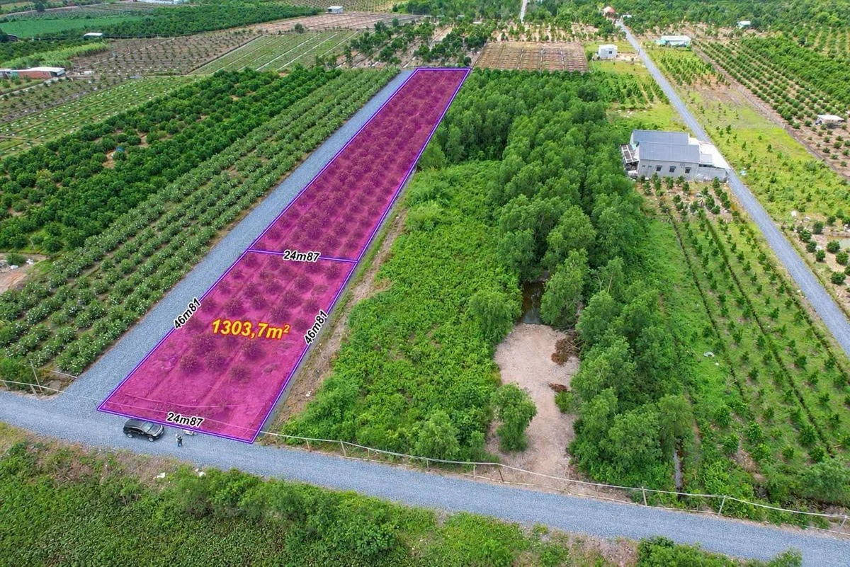 Bán đất vườn 1303m2 2 mặt tiền Bình Đức, Tây Ninh - Ảnh thu nhỏ 2