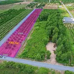 Bán đất vườn 1303m2 2 mặt tiền Bình Đức, Tây Ninh - Ảnh thu nhỏ 2