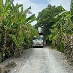 Bán đất mặt tiền Long An 19.671 m², 200 triệu/công - Ảnh thu nhỏ 4