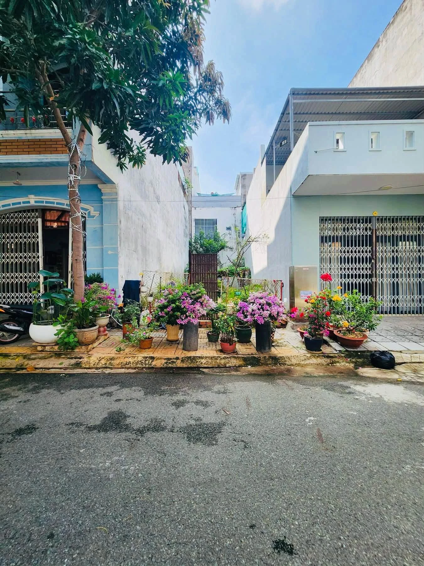 Bán đất Nguyễn Thị Định, Vũng Tàu, 79,91m², 7,9 tỷ - Ảnh 1