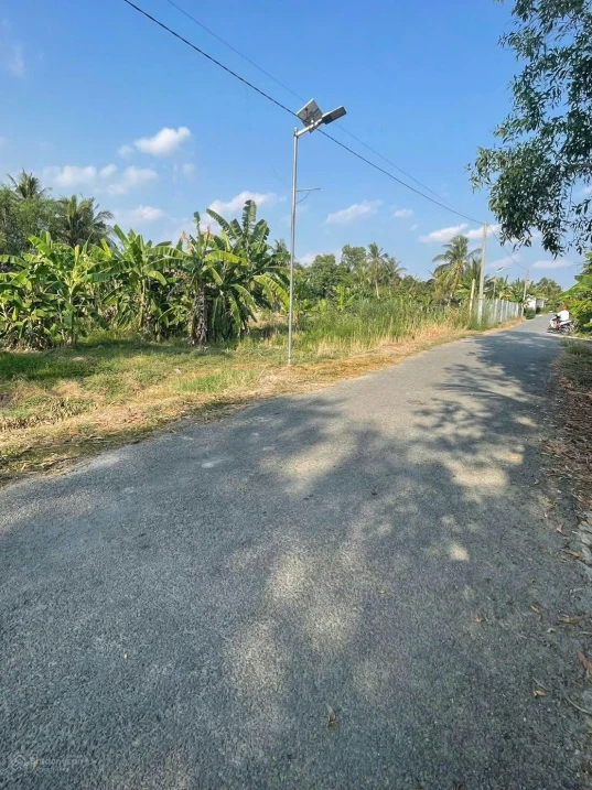Bán đất tại xã Phú Quới, huyện Long Hồ, Vĩnh Long, giá siêu hời 3,9 tỷ, 1169,2 m2 - Ảnh thu nhỏ 4