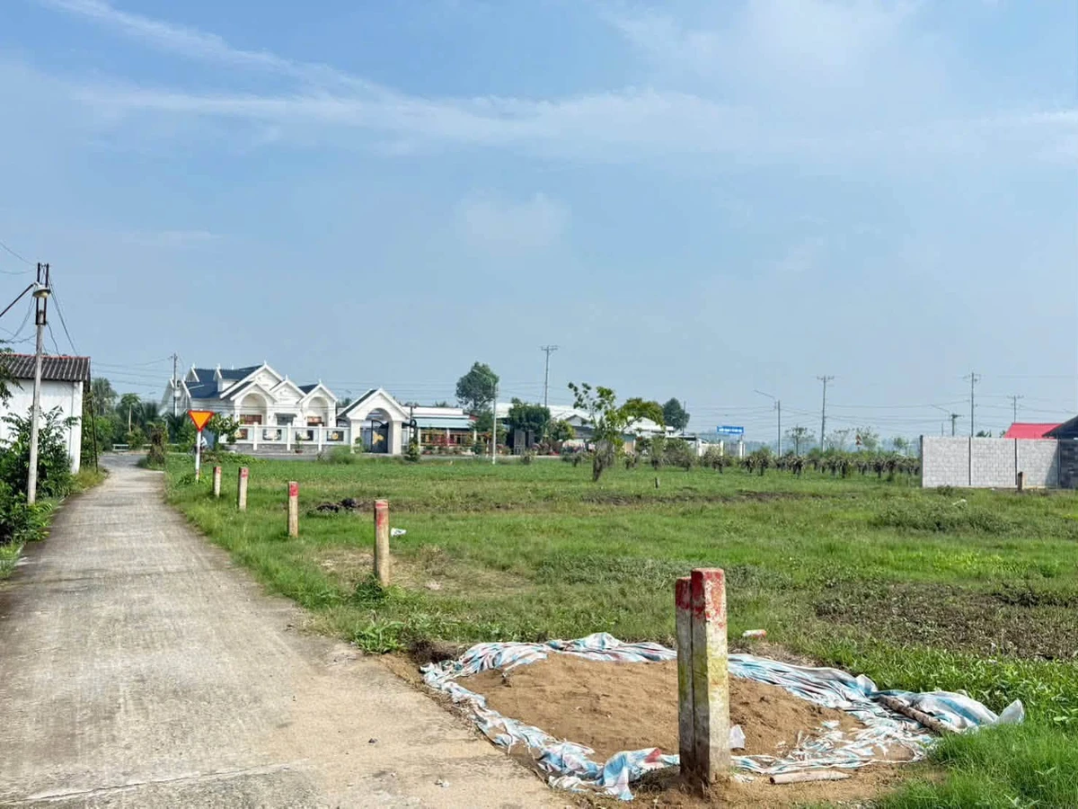 Bán đất nhà vườn 725,3m² mặt tiền đường Lê Văn Bụi, Đức Tân, Tân Trụ, giá 1,3 tỷ - Ảnh thu nhỏ 2