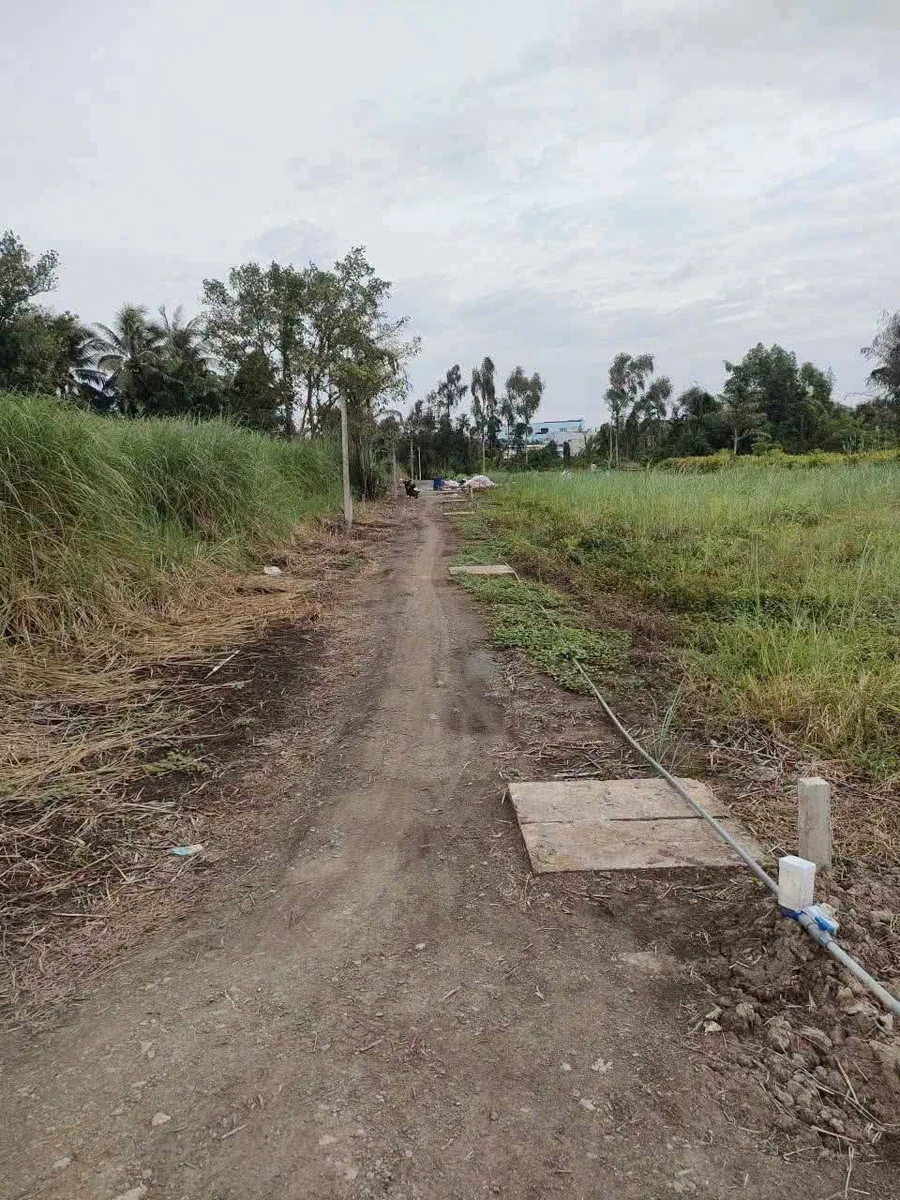 Bán nền thổ cư mặt tiền đường đá xanh 10x21m tại Thạnh Lợi, Tây Ninh giá 1,6 tỷ - Ảnh thu nhỏ 5