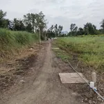 Bán nền thổ cư mặt tiền đường đá xanh 10x21m tại Thạnh Lợi, Tây Ninh giá 1,6 tỷ - Ảnh thu nhỏ 5