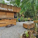 Bán farm sinh thái 7000m2 Đồng Xoài, Bình Dương - Ảnh thu nhỏ 4