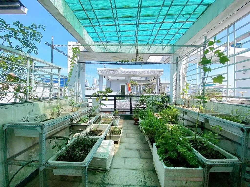 Bán nhà hẻm xe hơi Hoàng Hoa Thám Bình Thạnh 40m2 5 tầng - Ảnh thu nhỏ 4