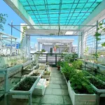 Bán nhà hẻm xe hơi Hoàng Hoa Thám Bình Thạnh 40m2 5 tầng - Ảnh thu nhỏ 4