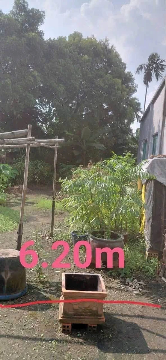 Bán đất Bình Nhâm 130m2 sổ hồng riêng 1,7 tỷ - Ảnh thu nhỏ 2