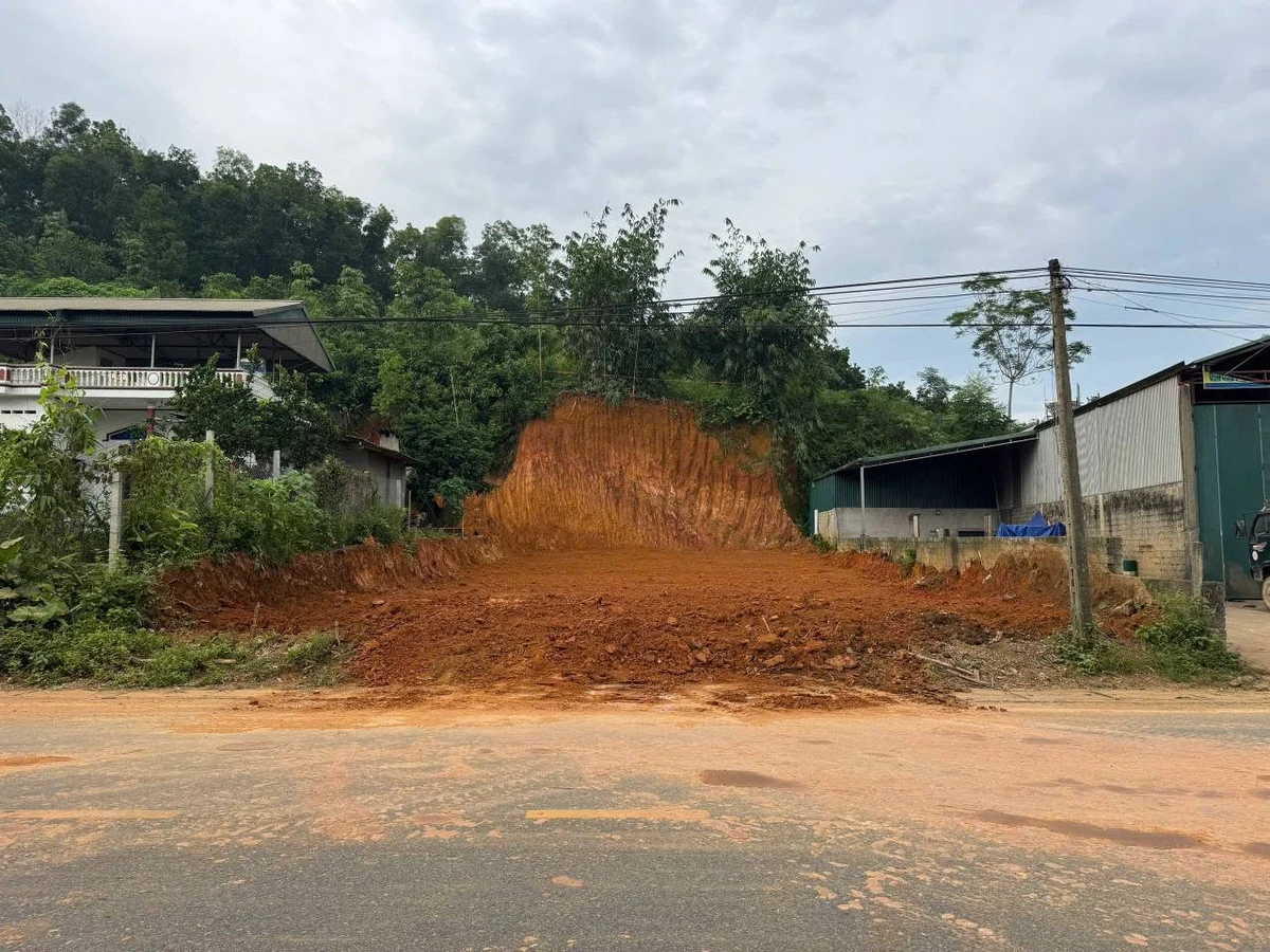 Bán đất Nhà Bè QL2 100m2 1.2 tỷ - Ảnh 1